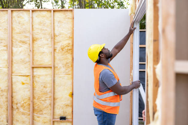Best Insulation Removal  in Riverview, MO