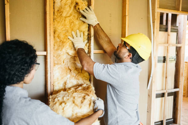 Best Home Insulation Services  in Riverview, MO
