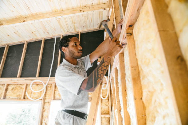 Best Attic Insulation Installation  in Riverview, MO