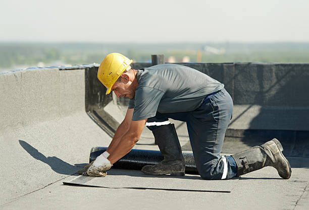 Best Professional Insulation Contractor  in Riverview, MO