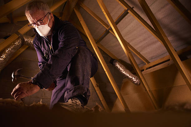 Best Wall Insulation Contractor  in Riverview, MO