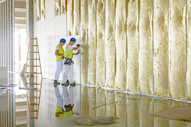 Best Blown-in Insulation  in Riverview, MO